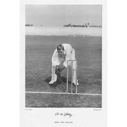Cricket lilley - a.a,