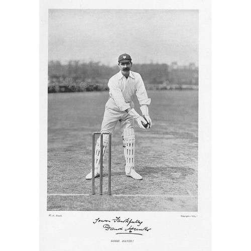 Cricket david hunter - cricket,