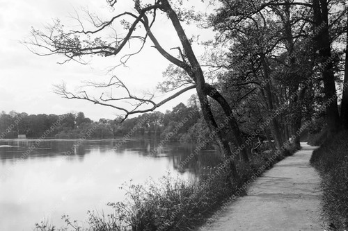 Lakeside path under - lakeside, leaning