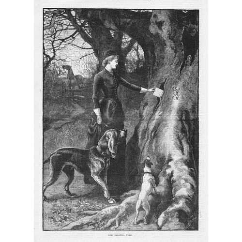 The trysting tree - trysting,