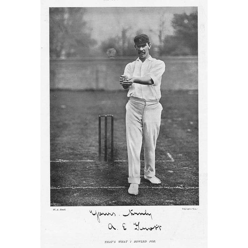 Cricket albert edward - cricket, trott