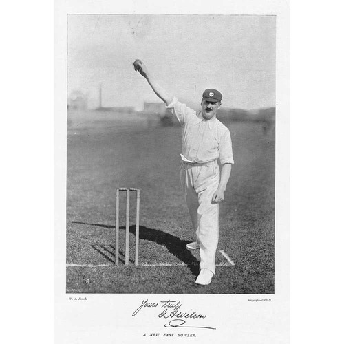 Cricket wilson - cricket,