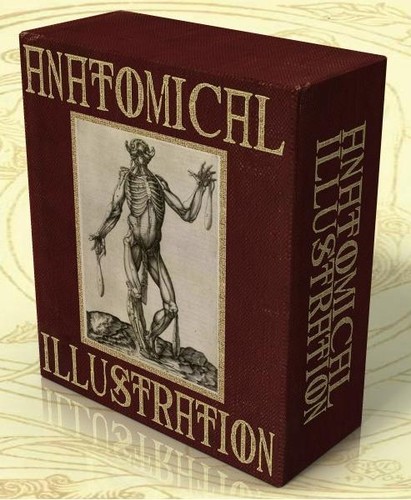 Anatomie illustration 2000 - anatomie, 2000+