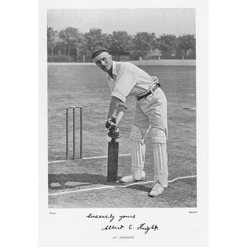 Cricket knight - cricket,