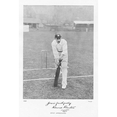 Cricket david denton - david,