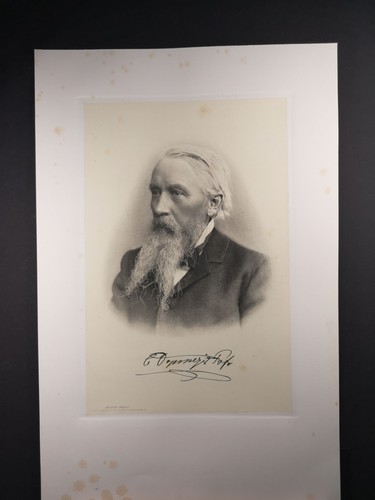 Original heliogravure - original,