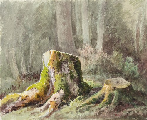 Bemooste baumstümpfe wald - bemooste,